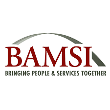 BAMSI logo